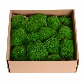 1.5sq. Ft Preserved Moss Pole Moss Pillow Moss Colored Decorative Moss for Moss Crafts, Art DIY, Wall Decor (Dark Green)