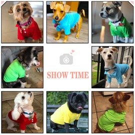 DOGGYZSTYLE 4 Pack Solid Dog Polo Tshirts Shirts Pet Puppy T-Shirt Clothes Outfit Apparel Coats Tops (S)