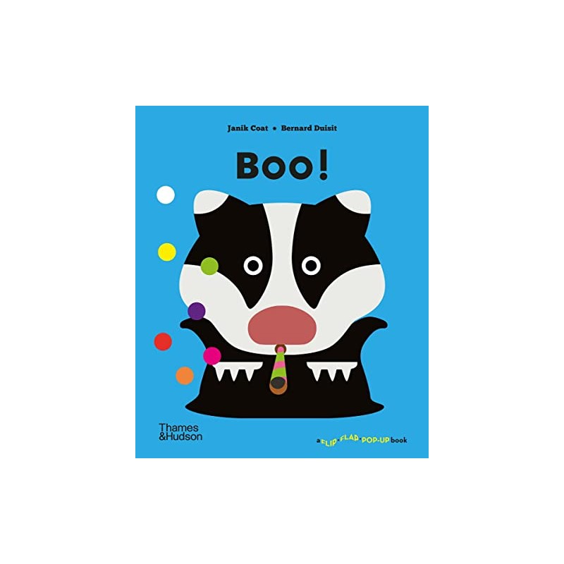 Boo! (A Flip Flap Pop Up Book)