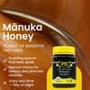 Yobees Honey Raw and unpasteurized New Zealand Manuka Honey Organic
