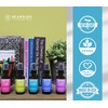 Plantlife Holiday Mist Face and Body Spray - Straight From