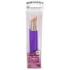 Gold Taklon Value Pack Brush Set-5/Pkg