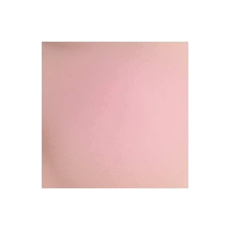 BANILA CO Priming Veil Cheek 6g - PK05 FLORA