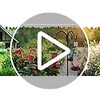 Hummingbird Feeder with Bee Guards and Ant Moat - 16