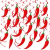 Chili Cook Off Party Hanging Swirls Chili Pepper Birthday Party
