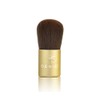 GENIE NUTRATANICALS Antioxidant Foundation Light, 8 gm & Small Kabuki