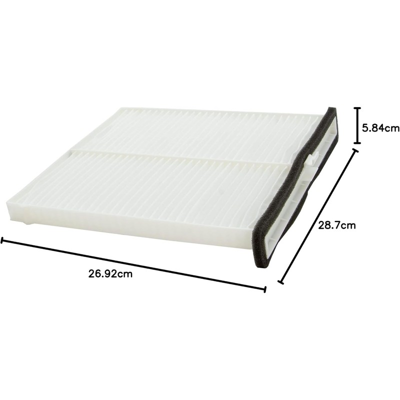 Ecogard XC10189 Filtro de aire de cabina premium para coche