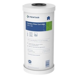 Pentair Pentek RFC-BB Big Blue Carbon Water Filter, 10-Inch, Whole House Heavy Duty Radial Flow Carbon Replacement Cartridge with Granular Activated Carbon (GAC) Filter, 10" x 4.5", 25 Micron