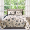 Coastal Quilts Queen Size, 3-Piece Starfish Shell Pattern Queen Beach