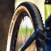 Vittoria Terreno Tubeless Ready G2.029x2.25 Tan
