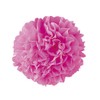 Goushika Seishi (合鹿製紙) Goshikizuru No.17 Ohanagami Tissue for Paper Flower