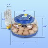 Boicafe Incubators for Hatching 18 Egges with Automatic Egg Turning,