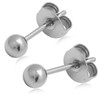 Adelina Style Titanium Earrings, Silver Ball, Round Ball Earrings, 1
