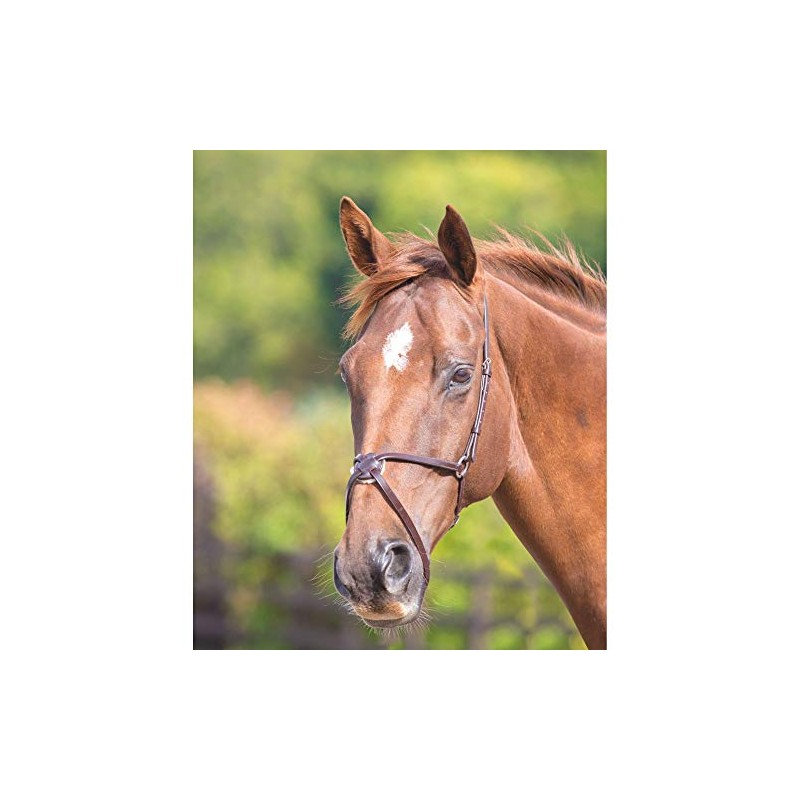 Shires Blenheim Mexican Noseband Extra Full Black