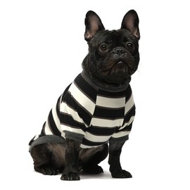 Fitwarm 2-Pack 100% Cotton Striped Dog Shirt for Pet Clothes Puppy T-Shirts Cat Tee Breathable Stretchy Black-White Yellow Blue Beagle French Bulldog Schnauzer XL