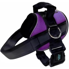 Joyride Harness 2.0 - The Original Side Ring No Pull Dog Harness - No Choke, Escape Proof, Reflective, 3 Leash Clips, Quick Fit Pet Vest - Easy Walks & Training - for Small, Medium & Large Dogs