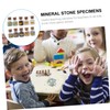 iplusmile Educational Stone Specimen Flask Collection 10pc Crystal Gemstone Wishing