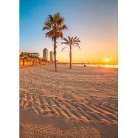 Windowpix 30x36 / Size_Outside_Size Barcelona Beach at Sunset - Peel and Stick Static Cling UV Protection, Energy Saving Window Film Printed on Clear for Glass Panels