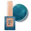 From the Nail Deep Sea Single Item FG137 Magnet Gel / 프롬더네일 딥씨 단품 FG137 자석젤