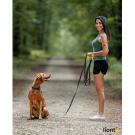 lionto Recall Lead for Dogs, 10 m, Rubberised Lead with Hand Loop and 360° Metal Carabiner with Safety Clasp, Reflective Dog Lead Made of Robust, Weatherproof Nylon, Black