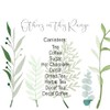Green Leaves Decaf Tea Storage Canister - Vibrant Foliage Kitchen