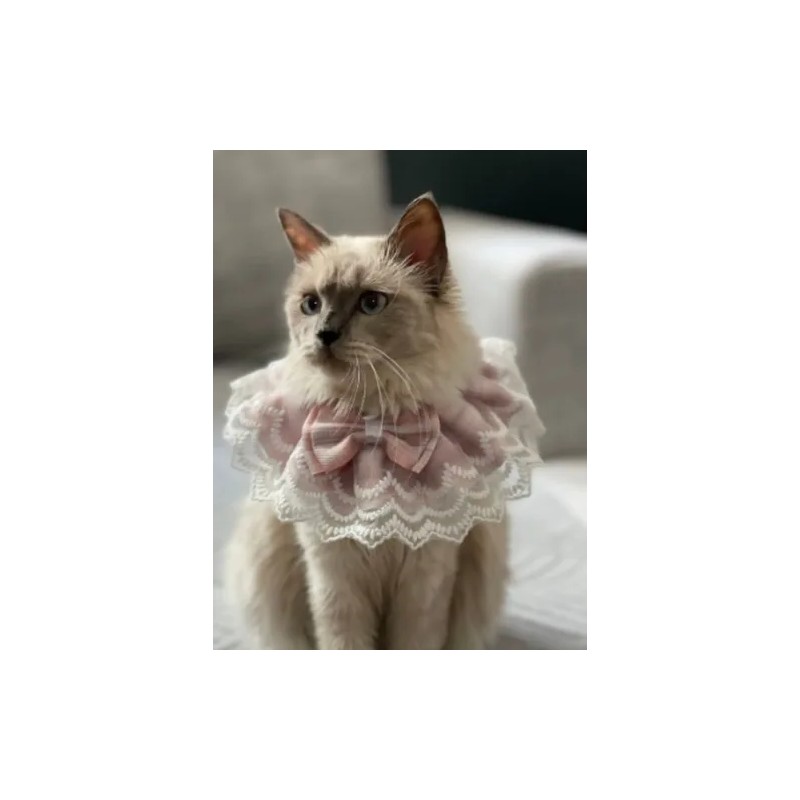Collar Rosa Para Gatos Y Perros, Babero De Encaje Y