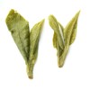 GOARTEA 250g / 8.8oz Top Grade Xihu Longjing Dragon Well