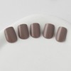evpct Acrylic Taupe Glossy Press on Nails Short Square, Glossy