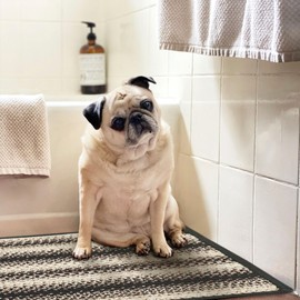 Homespice Blackbird Washable Kitchen Rug and Primitive Country Decor 17x47, The Perfect Entryway and Bathroom Rugs Non Slip Washable