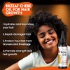 Brzeaf- 【Promueve el crecimiento del cabello】El aceite para cabello Chebe