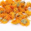 Chinese Marigold Tea Calendula Officinalis Tea Female Flower Aromatic Herbal