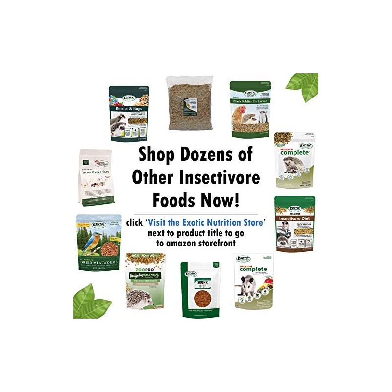 Exotic Nutrition Hedgehog Essential - Chicken Kibble with Mealworms (6