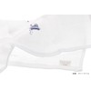 Imabari Towel, Handkerchief, Gauze, Hot Towel, Nyanko, Blue, 13.0 x