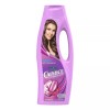 PALMOLIVE CAPRICE 4PK PALMOLIVE CAPRICE ESPECIALIDADES FUERZA 2 IN 1