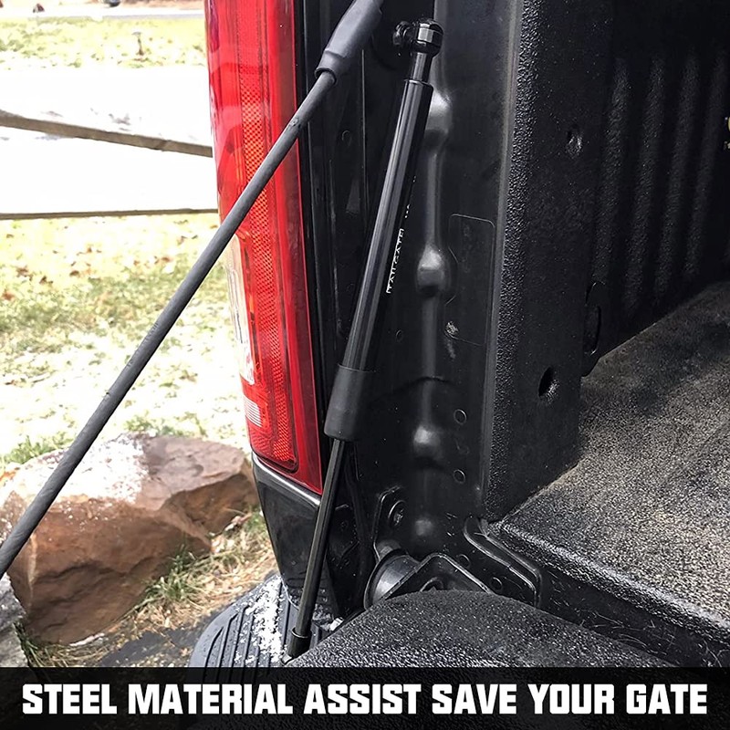 Winunite Compatible with 2015-2025 F150 Tailgate Assist – Stainless Steel
