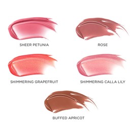 tarte maracuja juicy-high shin lip vinyl 5pc set