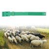 10Pcs Goat Collar Sheep Identification Bands Livestock Marking Ring Farming
