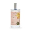 Euro Japan WLHG0606 Room Mist "Homegrown" 3.4 fl oz (100