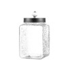 Style Setter Square Canister Set 3-Piece Glass Jars in 43,