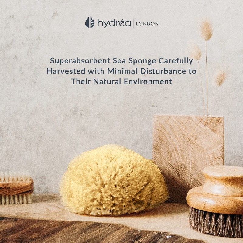 Hydrea London Natural Sea Sponge 4 - 4.5"- Premium Mediterranean