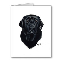 DJ Rogers Fine Art Black Labrador - Set of 10 Dog Note Cards With Envelopes