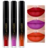 Juego De 3 Lápices Labiales Líquidos Mate De Larga Duración