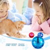 Unbranded 2 Pcs Cat Ball Ghost Hunting Light up Toys