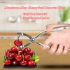 Herramienta para deshuesar cerezas, Herramienta portátil para deshuesar aceitunas y