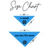 Happy Birthday Dog Bandana (967 Turquoise, One Size)