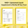 Suplemento líquido liposomal NAD+ - Diseñado para ayudar a apoyar