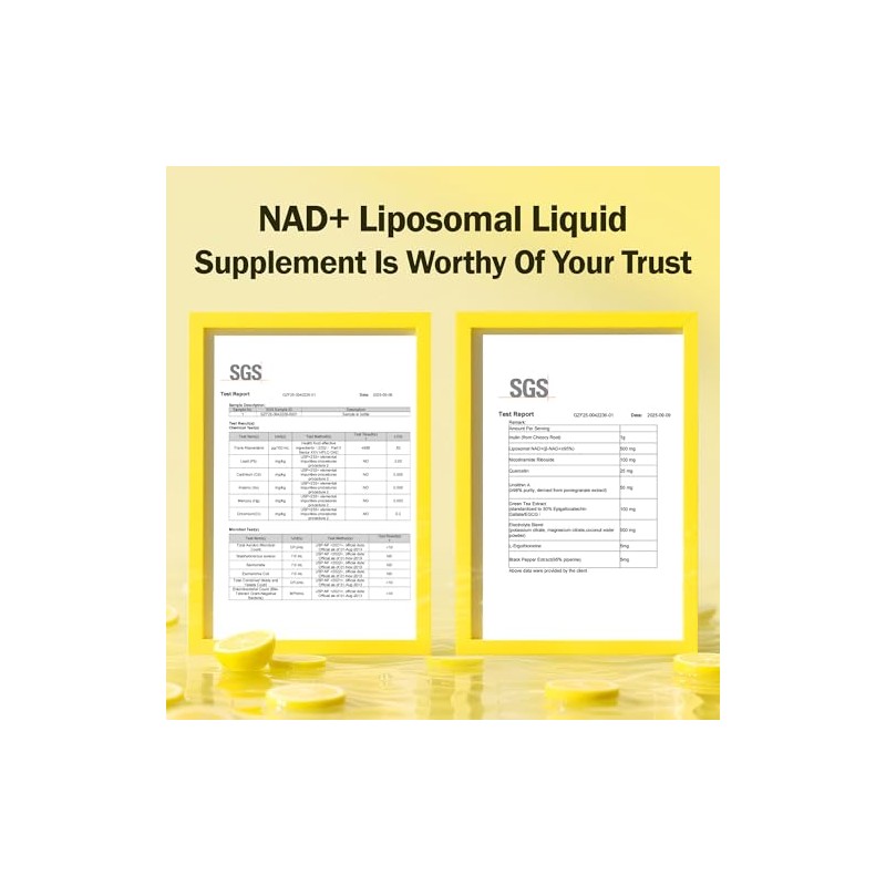 Suplemento líquido liposomal NAD+ - Diseñado para ayudar a apoyar