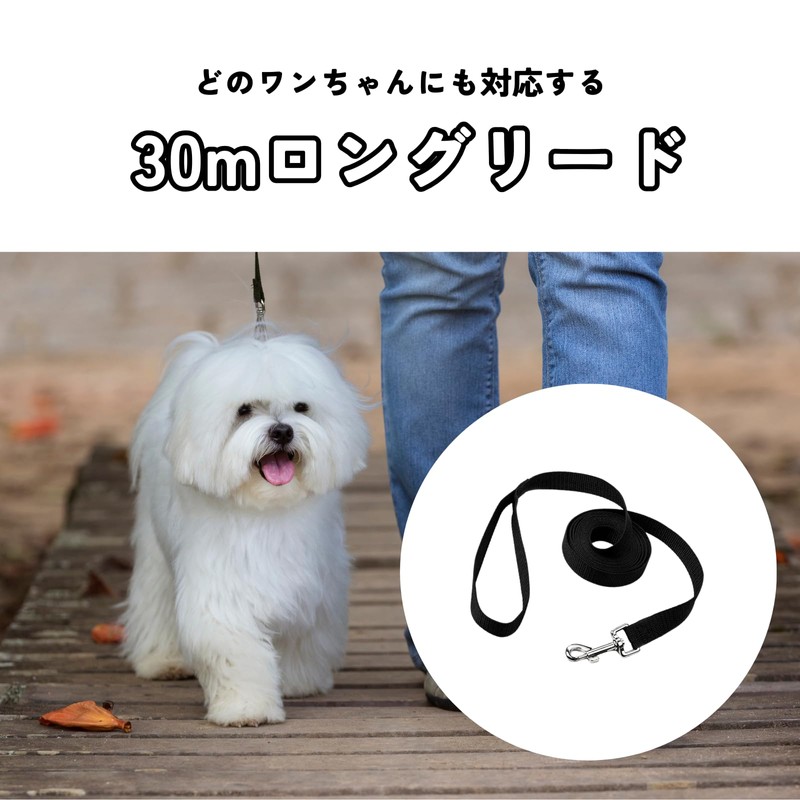 DIZLAS Long Leash 30m 360 Degree Rotation Dog Leash for