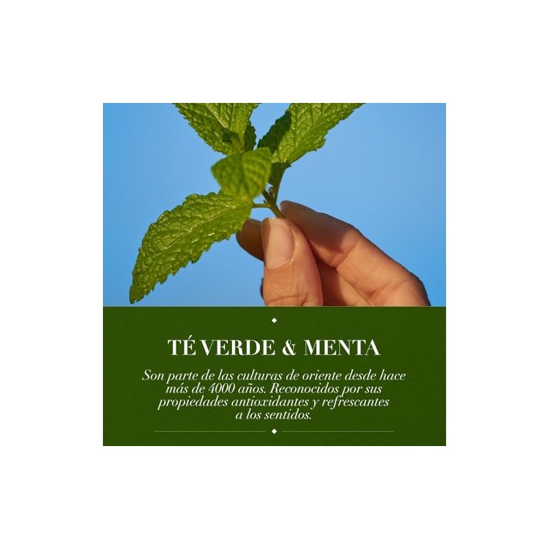 Herbal Essences Shampoo Detox Té Verde & Menta 600 ml