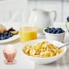 TRIXES 2 x Rose Gold Egg Cups - Spiral Spring